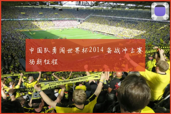 中国队勇闯世界杯2014 备战冲击赛场新征程
