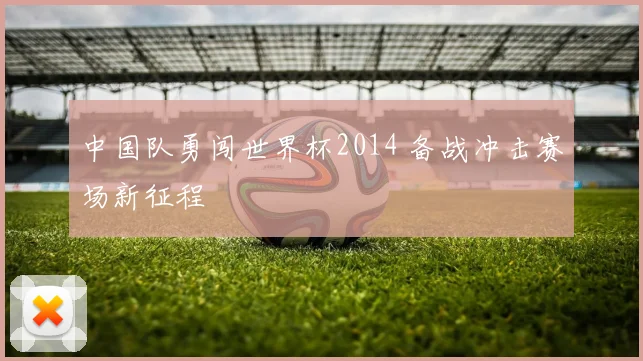 中国队勇闯世界杯2014 备战冲击赛场新征程
