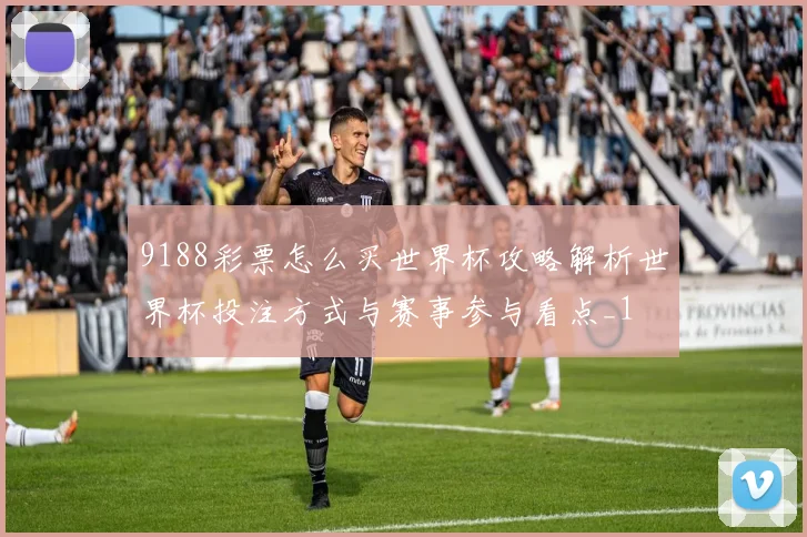 9188彩票怎么买世界杯攻略解析世界杯投注方式与赛事参与看点_1