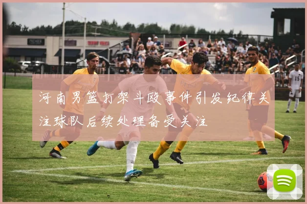 河南男篮打架斗殴事件引发纪律关注球队后续处理备受关注